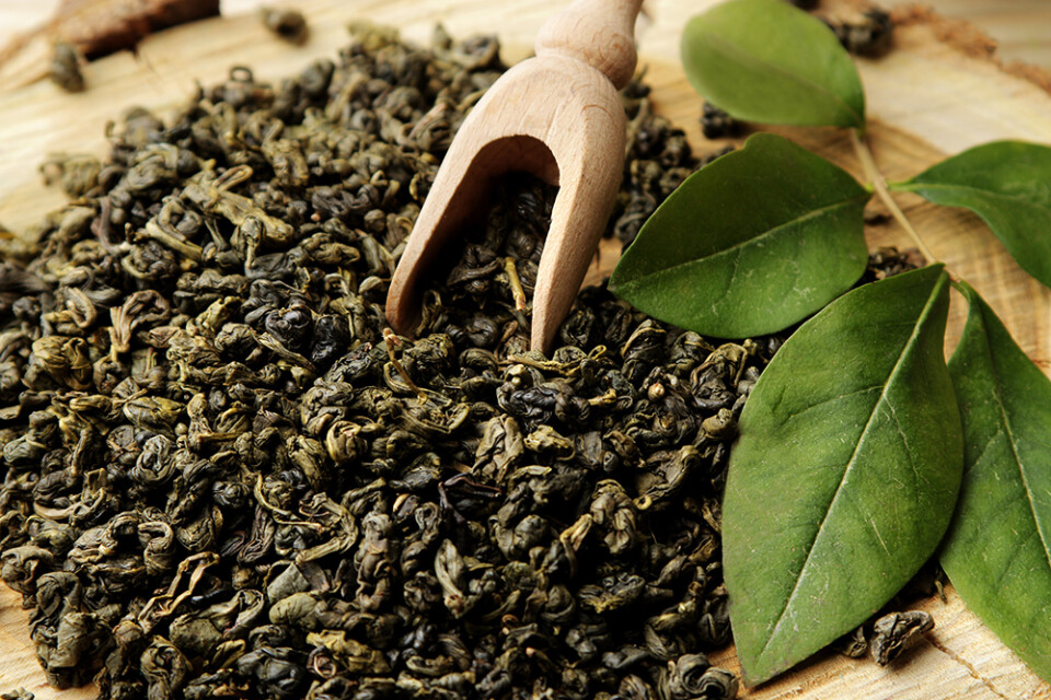 IStock 1619716622 LR